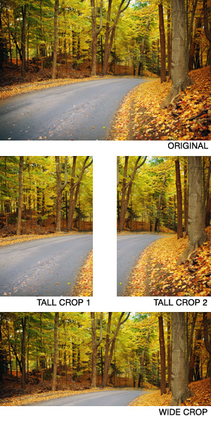 Comparison of cropping and aspect ratio in images