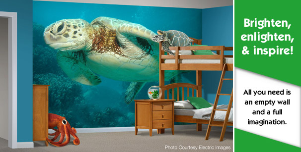 Custom printed wallpaper design on kids' bedroom wall sea turtle theme