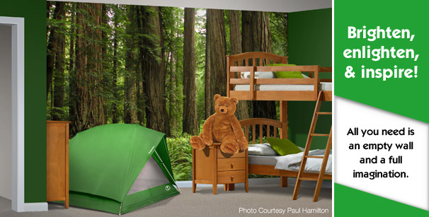 Custom printed wallpaper design on kids' bedroom wall woodland camping theme